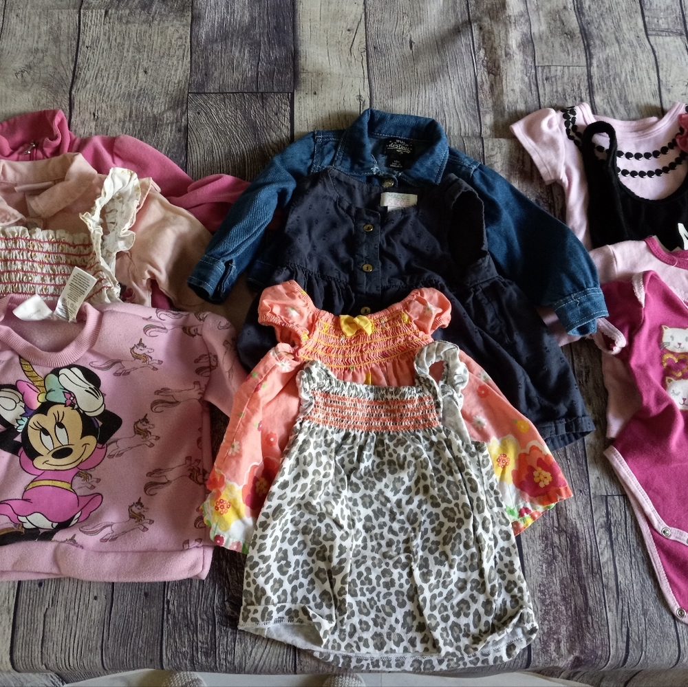 Baby Girl Bundle | 9-18 months